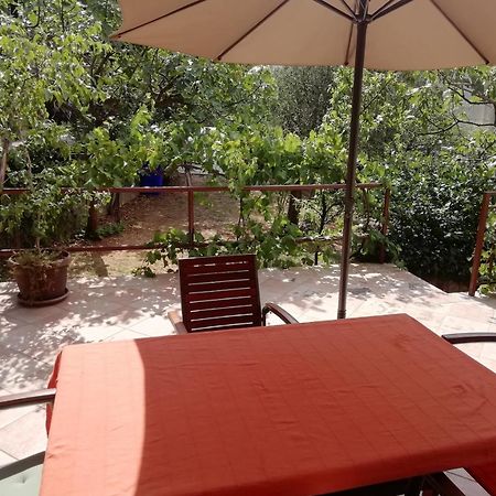 Apartments Mia 스타리그라드 파클레니차 외부 사진